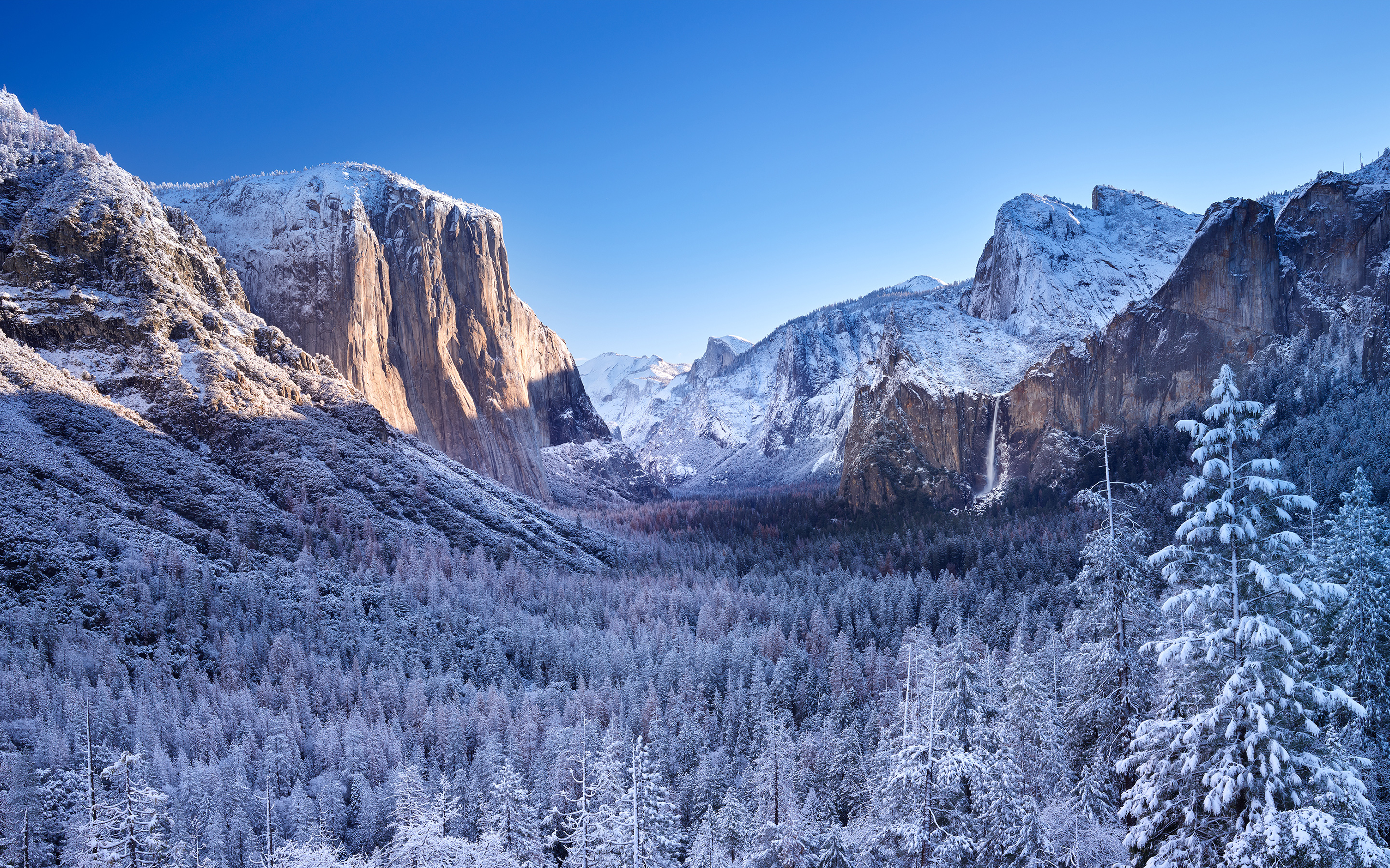 Yosemite National Park Winter 4K3048510238